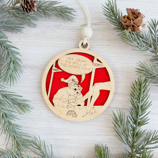 Naughty But Nice Ornaments
